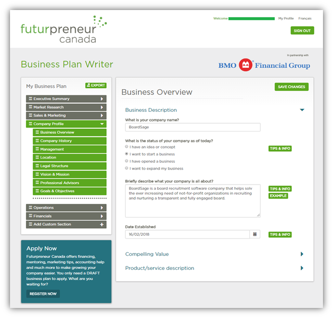 Business Plan Writer Description